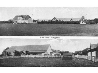 Jenle-med-avlsgård